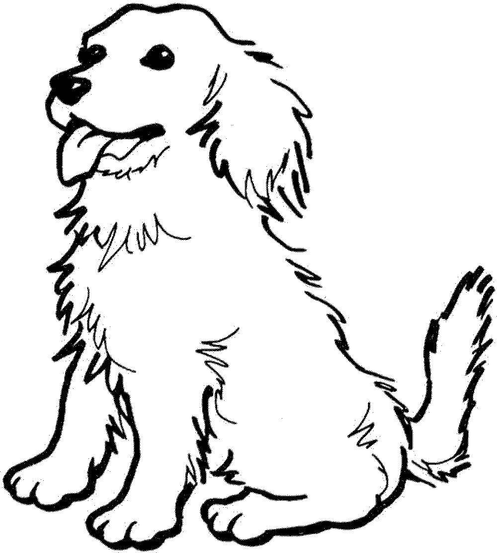 Coloring Dog. Category Pets allowed. Tags:  dog, Golden Retriever.