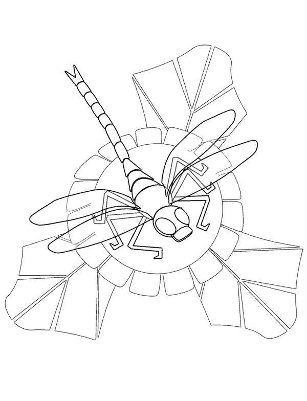 Название: Раскраска Стрекоза на цветке. Категория: стрекоза. Теги: стрекоза, насекомые, цветок.