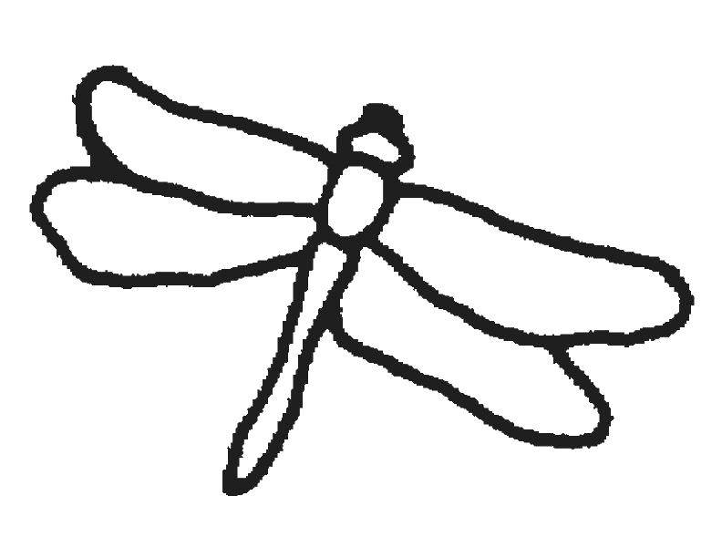 Coloring Dragonfly. Category dragonfly. Tags:  Insects, strekozka.