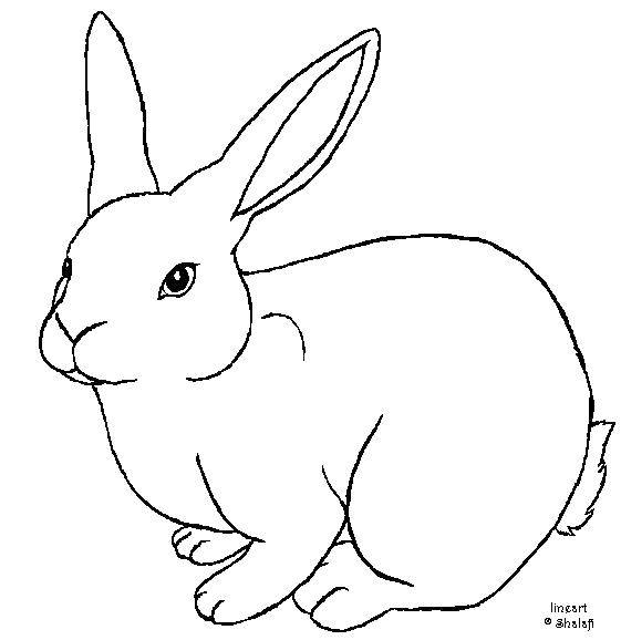 Coloring Hare. Category Animals. Tags:  animals, rabbit, hare.