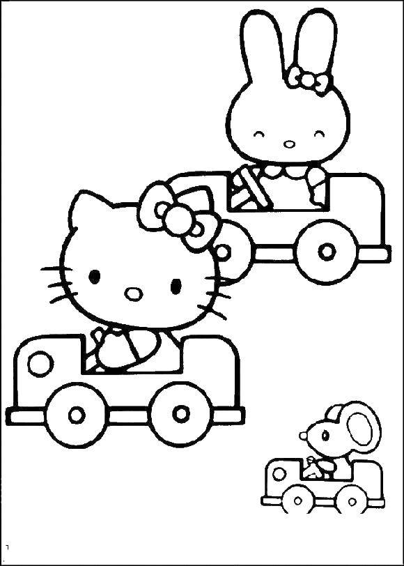 Название: Раскраска Животные на машинка. Категория: Животные. Теги: кошка на машинке, мышка на машинке, зайчик на машинке.