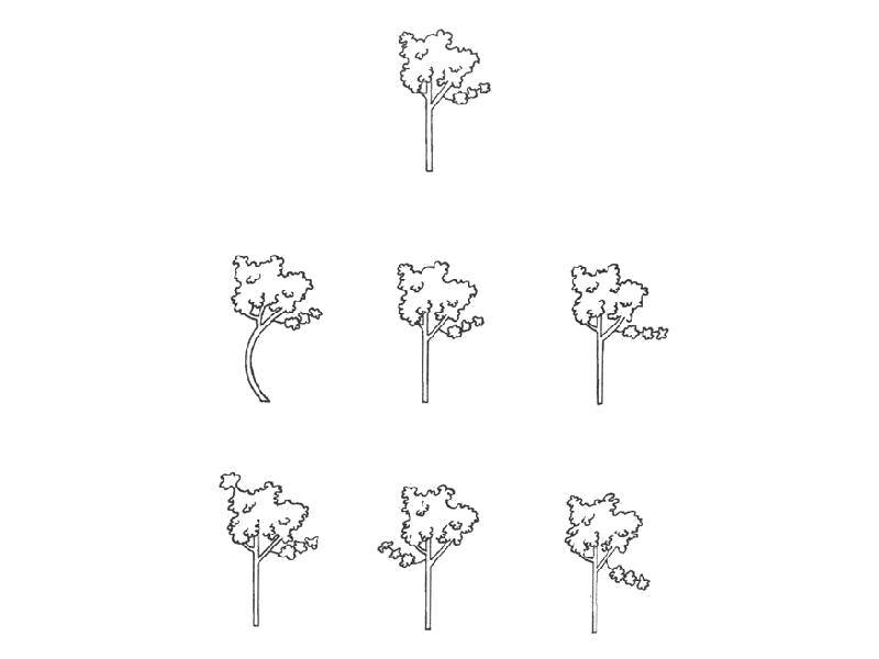 Опис: розмальовки  Знайди відмінності в деревах. Категорія: розмальовки на логіку. Теги:  Логіка.