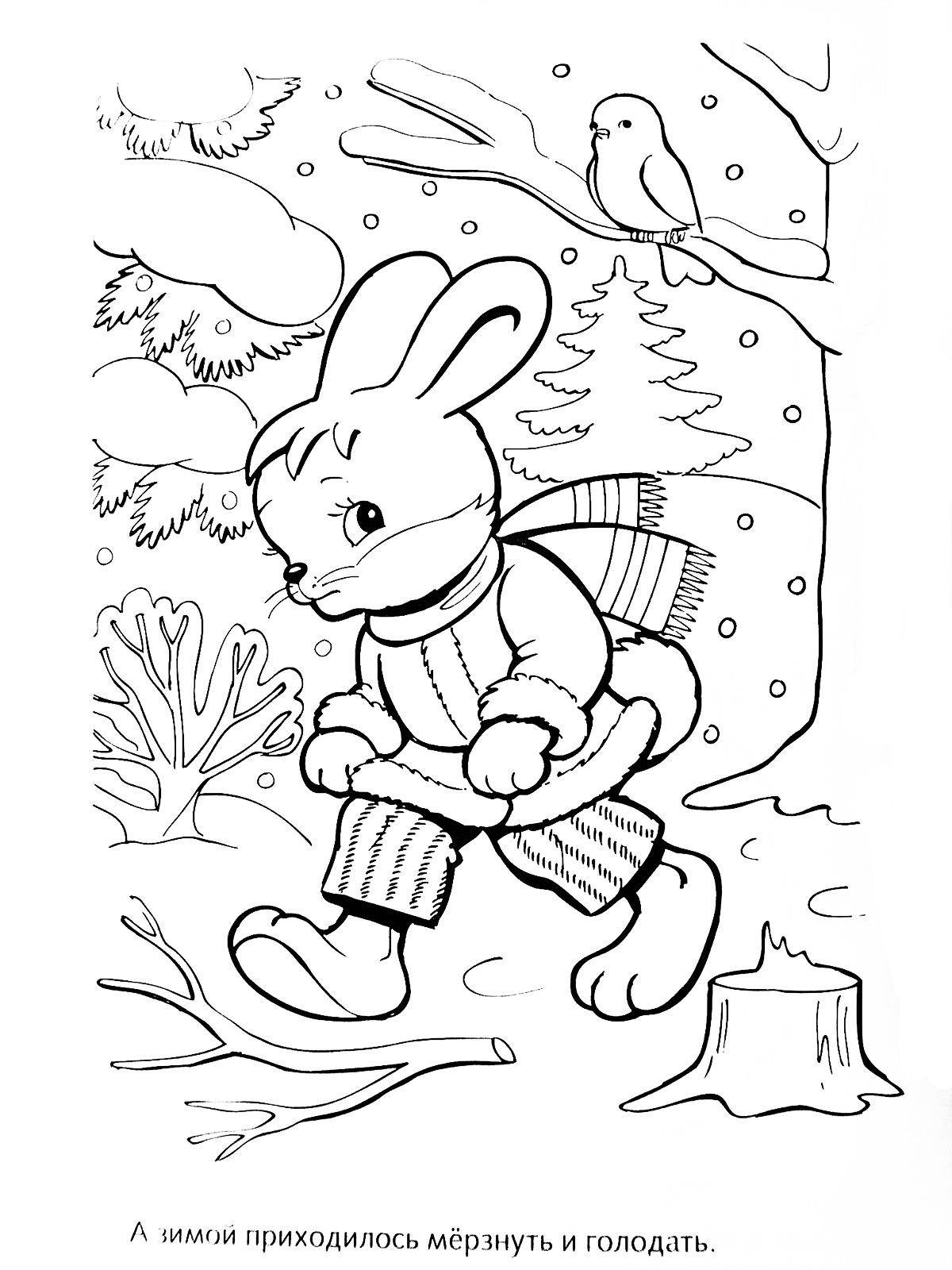 Розмальовки  Малюнок зайчика в зимовому лісі. Завантажити розмальовку заєць, кролик.  Роздрукувати ,домашні тварини,