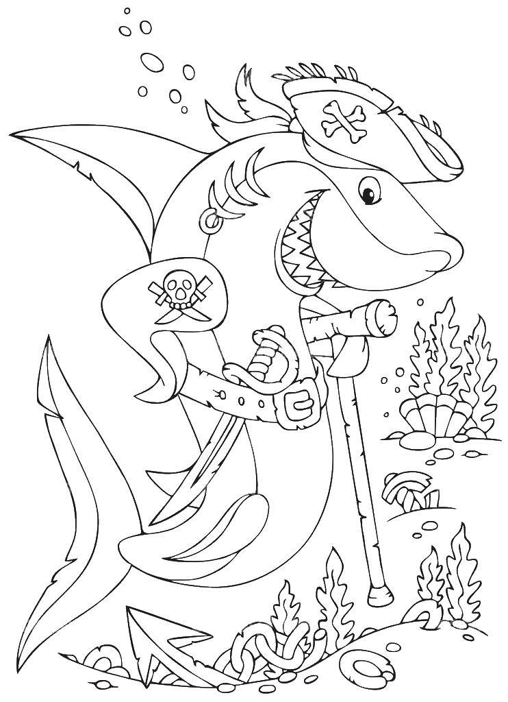 Coloring Shark pirate. Category The pirates. Tags:  pirate, shark.