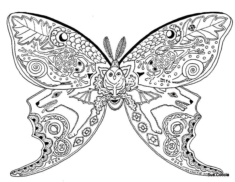 Название: Раскраска Бабочка с узорами из животных. Категория: раскраски антистресс. Теги: Бабочка.