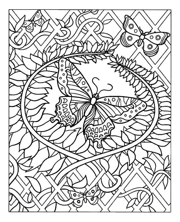 Coloring Butterfly among the flowers. Category coloring antistress. Tags:  Butterfly, flowers.