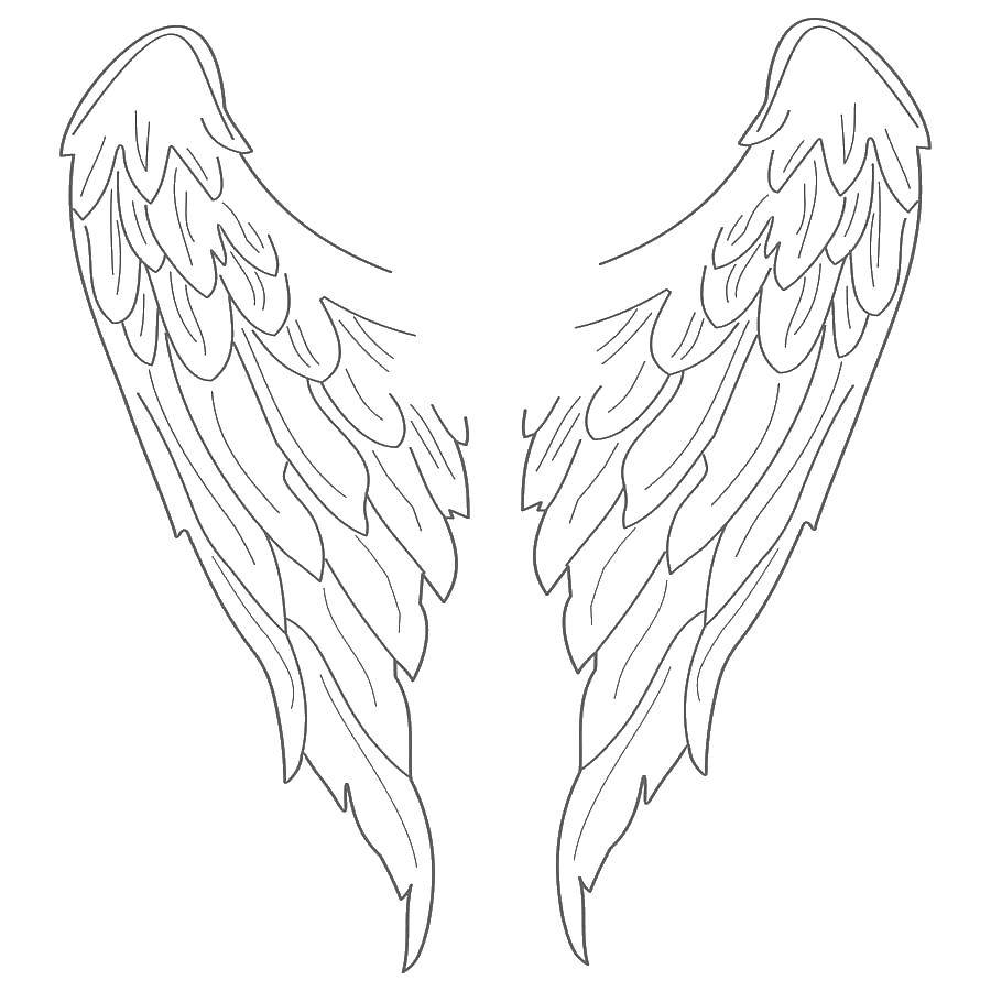 Coloring Two wings. Category coloring. Tags:  The wings.