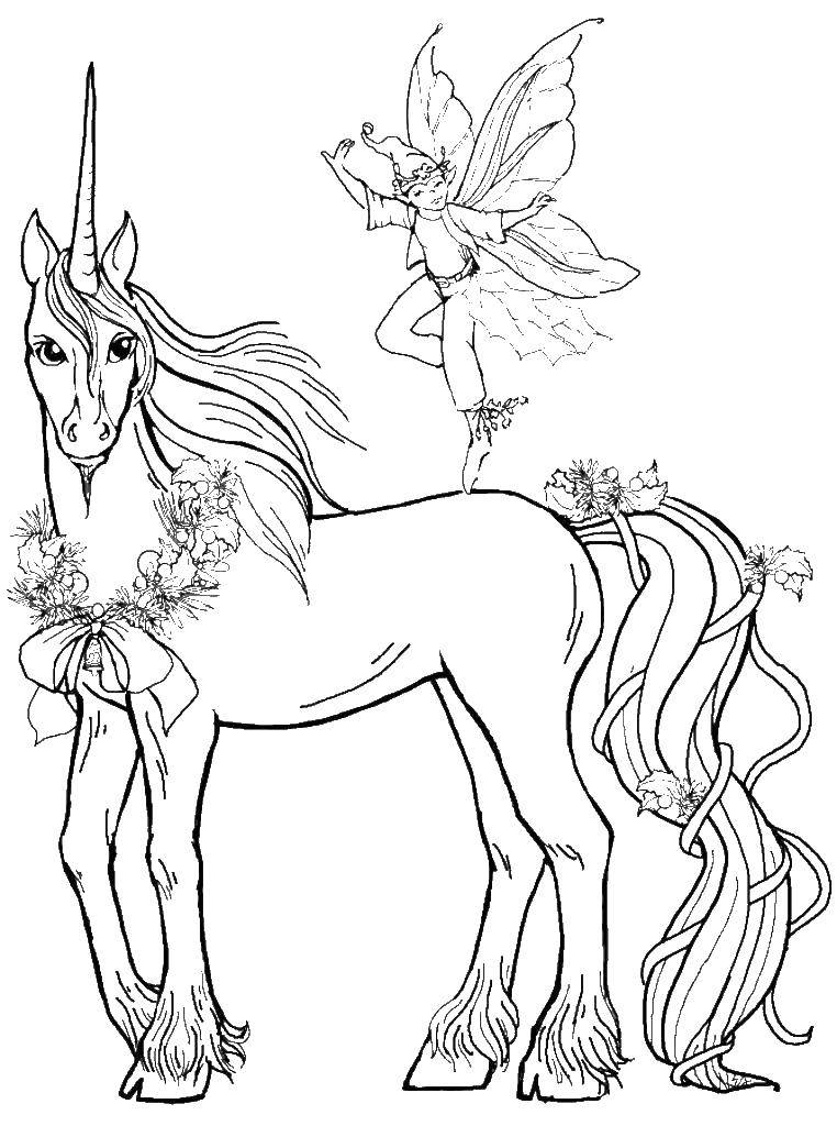 Coloring Fairy sitting on a unicorn. Category Fantasy. Tags:  Fantasy, fairies, unicorn.