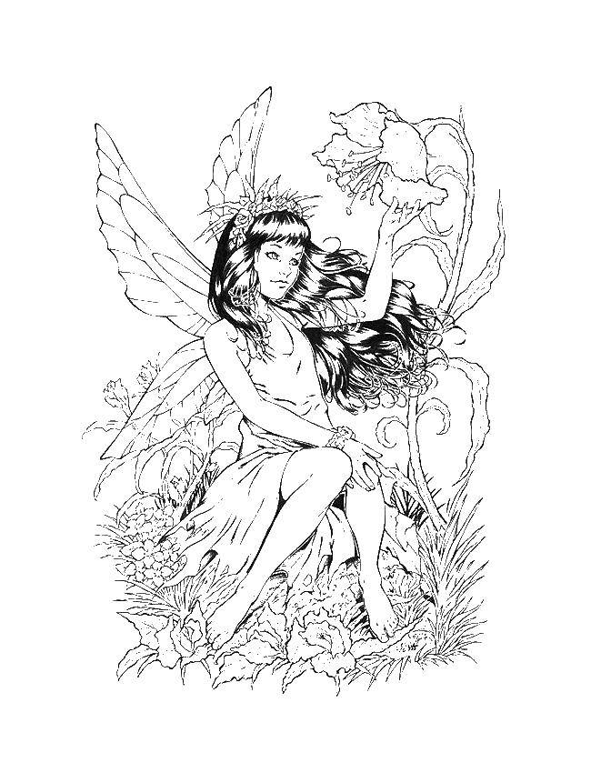 Coloring Fairy looking at a flower. Category Fantasy. Tags:  fairy, Fantasy.