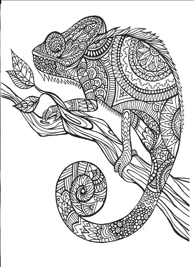 Coloring Chameleon from geometric patterns sitting on a branch. Category coloring antistress. Tags:  Pattern, animals, geometric, lageschulte.