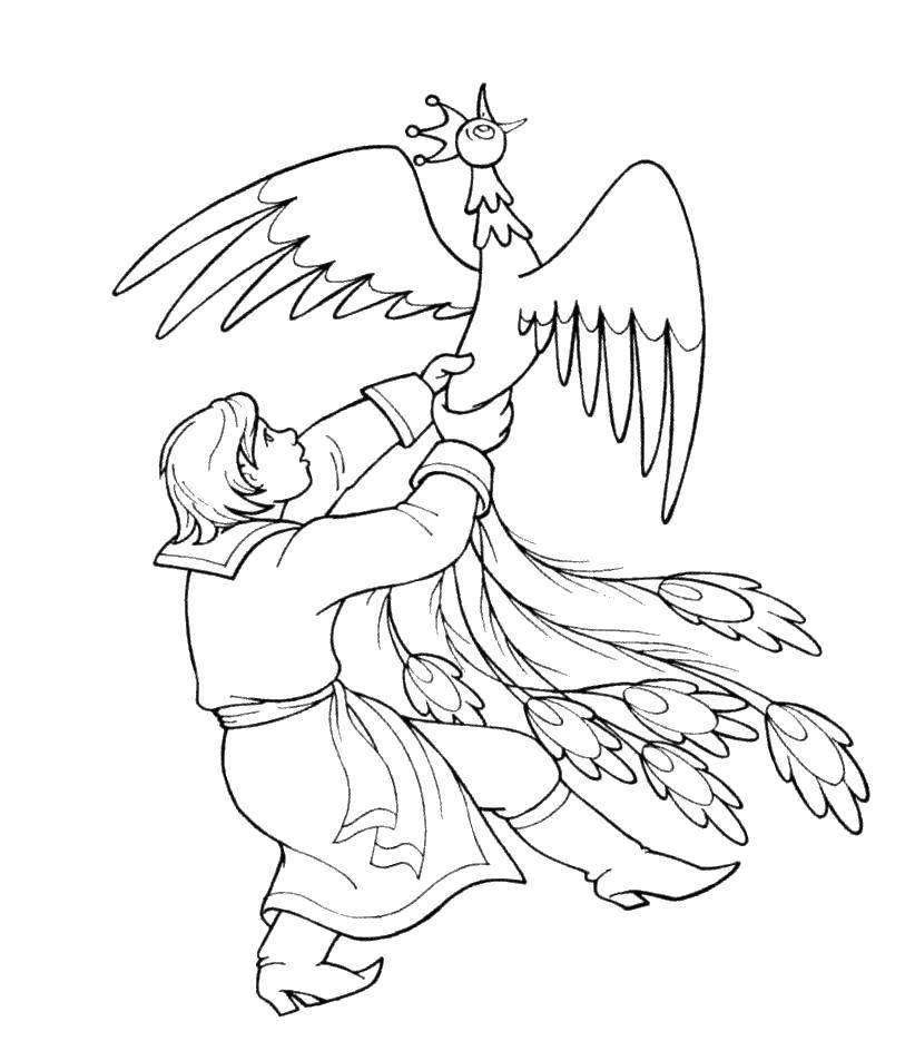 Coloring Ivan grabbed departing the heat of the bird. Category Fairy tales. Tags:  Tales, The Firebird.