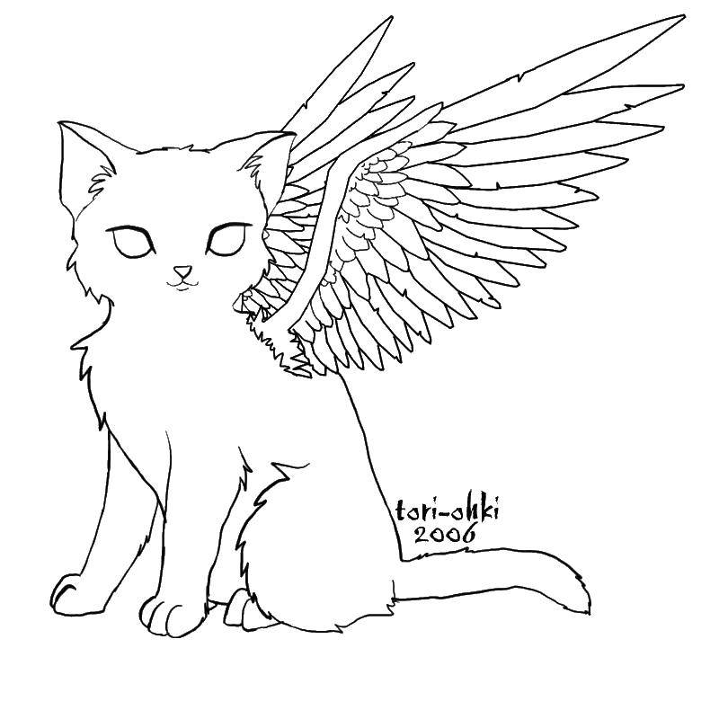 Название: Раскраска Кошка с крыльями. Категория: раскраски. Теги: Крылья.