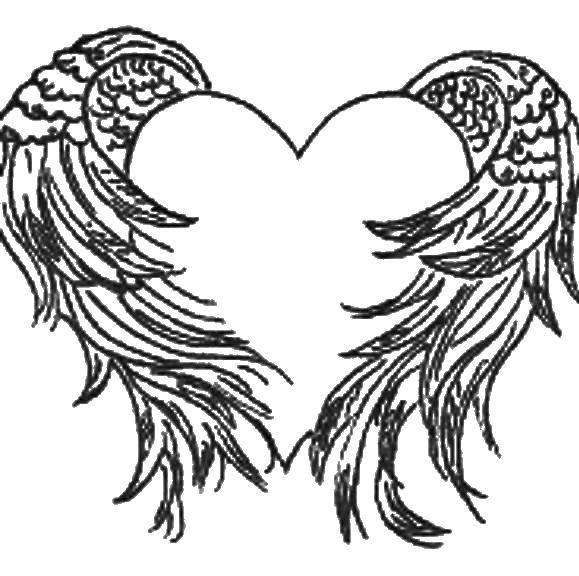 Coloring Wings of the heart. Category coloring. Tags:  The wings.