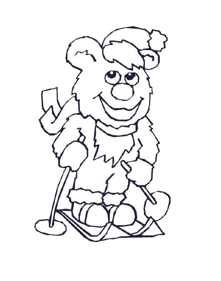 Coloring Bear and skis. Category skiing. Tags:  Sports, skiing.