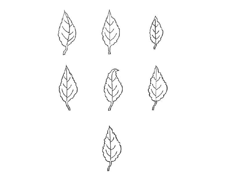 Coloring Find the differences in the leaves. Category coloring on logic. Tags:  Logic.
