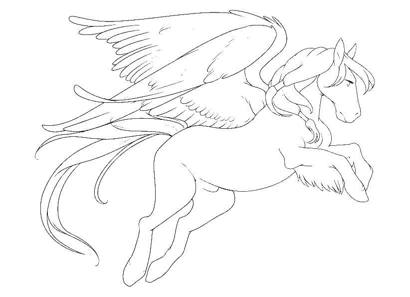 Coloring Pegasus flying in the sky. Category Animals. Tags:  Animals, Pegasus.