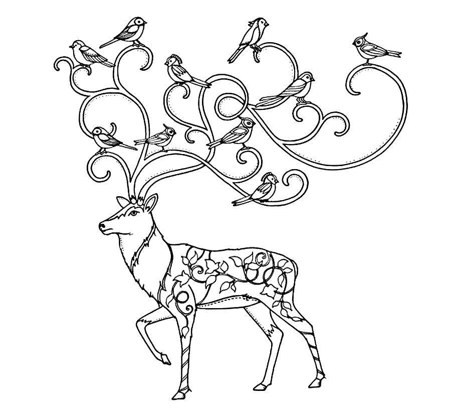 Coloring Birds are sitting on the horns of a deer. Category patterns. Tags:  Pattern, animals, deer, birds.
