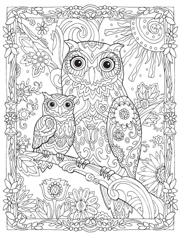 Coloring Owl and owlet patterns in the forest. Category patterns. Tags:  Pattern, animals, owl.
