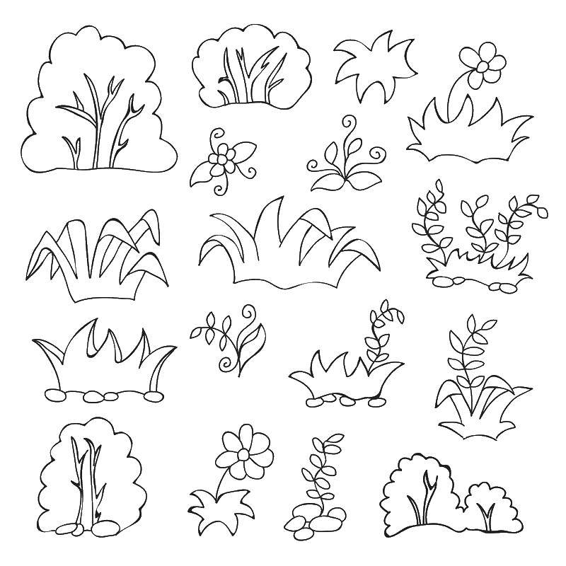 Coloring Flowers and grass. Category flowers. Tags:  flowers, grass.