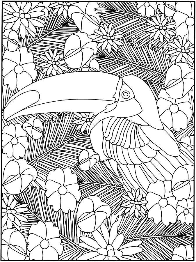Coloring Toucan sitting on a tree. Category birds. Tags:  Birds, Toucan, forest, nature.
