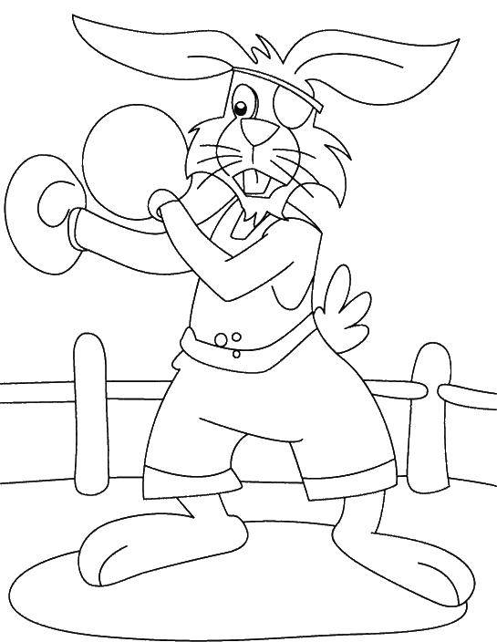 Coloring Hare Boxing. Category Boxing. Tags:  Boxing, Bunny, sports.