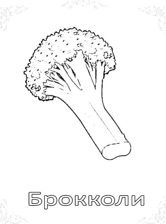 Coloring Broccoli. Category vegetables. Tags:  broccoli, vegetables.