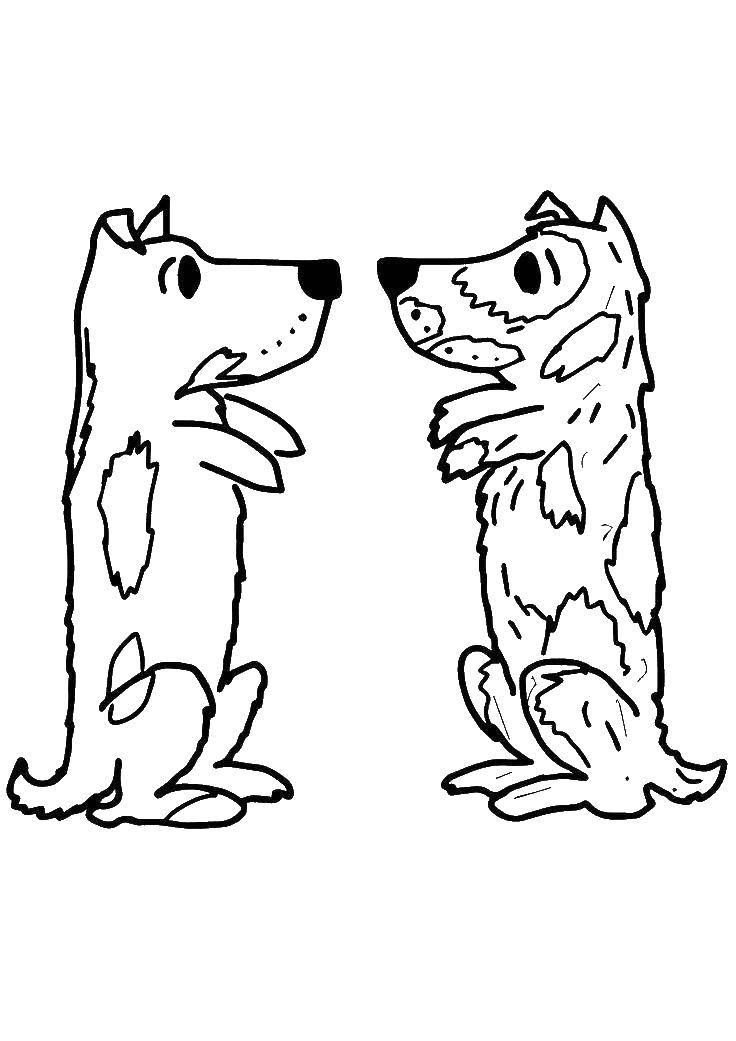 Название: Раскраска Две собаки. Категория: собаки. Теги: собака.