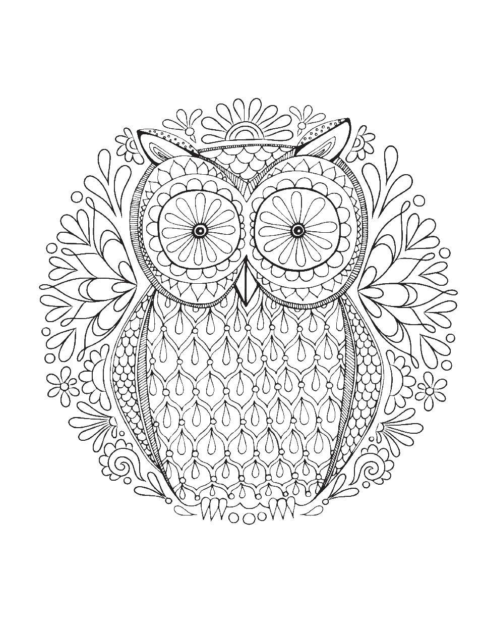 Coloring Ethnic owl. Category coloring antistress. Tags:  Pattern, geometric, ethnic, animal, owl.