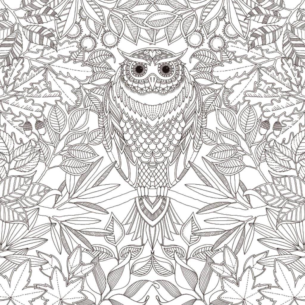 Coloring Ethnic owl. Category coloring antistress. Tags:  Patterns, ethnic, owl.