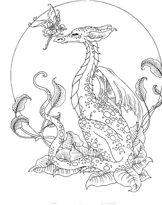 Название: Раскраска Фея на носу дракона. Категория: Фэнтези. Теги: Фантастические создания.
