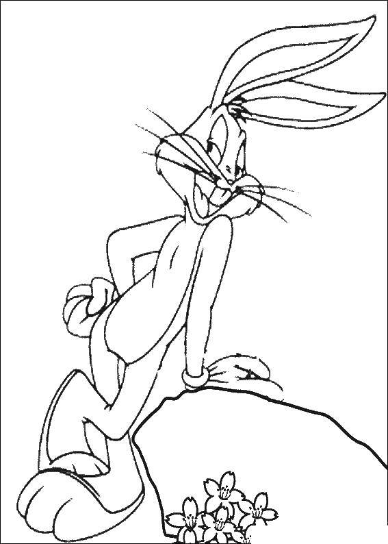 Название: Раскраска Кролик багс банни. Категория: кролик. Теги: кролик, багс банни.