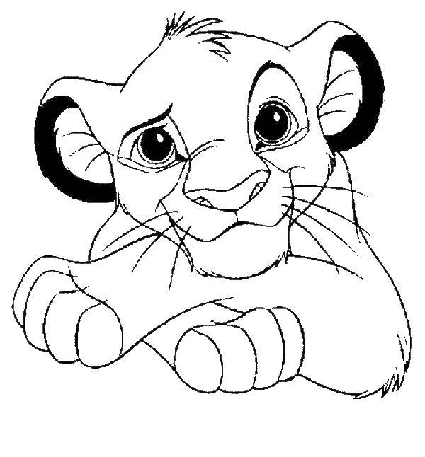 Coloring Lion Simba. Category The lion king. Tags:  the lion king, Simba.