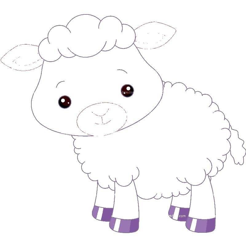 Coloring Little lamb. Category Animals. Tags:  lamb, animals.