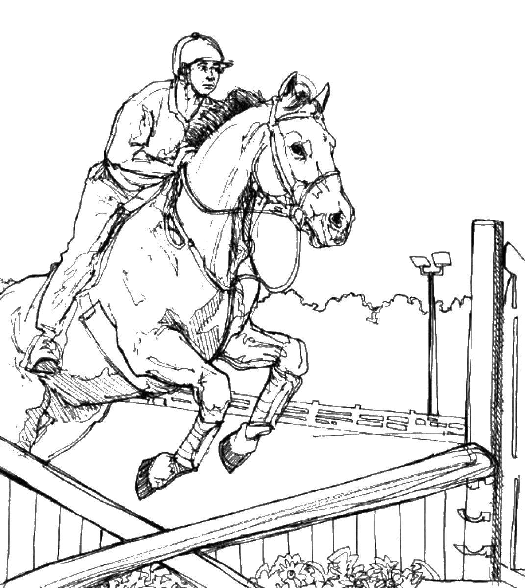 Название: Раскраска Прыжок жокея. Категория: Прыжок. Теги: прыжок, жокей, лошадь.