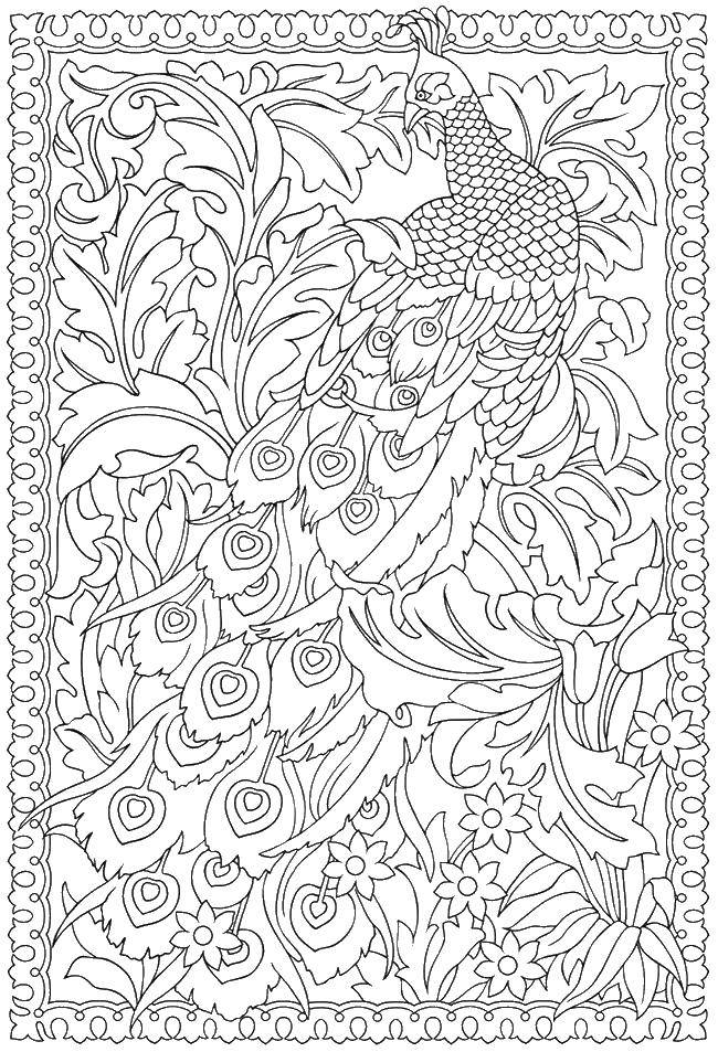 Coloring Coloring antistress. Category coloring antistress. Tags:  patterns, shapes, stress relief, bird, peacock.