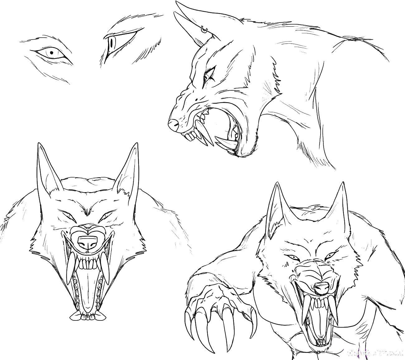 Coloring Draw a werewolf. Category Animals. Tags:  the werewolf.