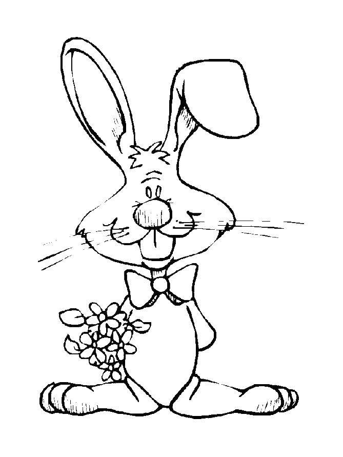 Coloring A picture of a Bunny with a flower. Category Pets allowed. Tags:  hare, rabbit.