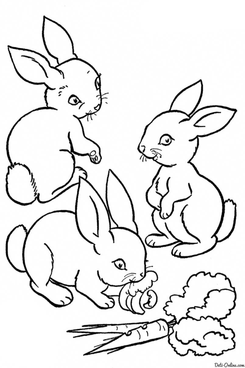 Название: Раскраска Рисунок зайчики. Категория: домашние животные. Теги: заяц, кролик.