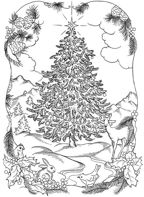 Название: Раскраска Рождественская ёлочка в лесу. Категория: рождество. Теги: Рождество, ёлочная игрушка, ёлка, подарки.