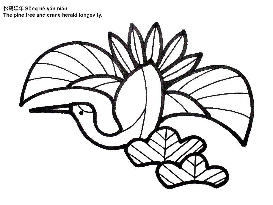 Coloring Egret stripe. Category birds. Tags:  Heron, bird.