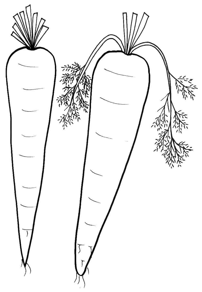 Coloring Vitamin carrot. Category vegetables. Tags:  carrot.