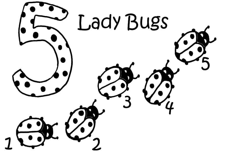 Coloring Ladybird believe. Category Ladybug. Tags:  Ladybug, mathematics.