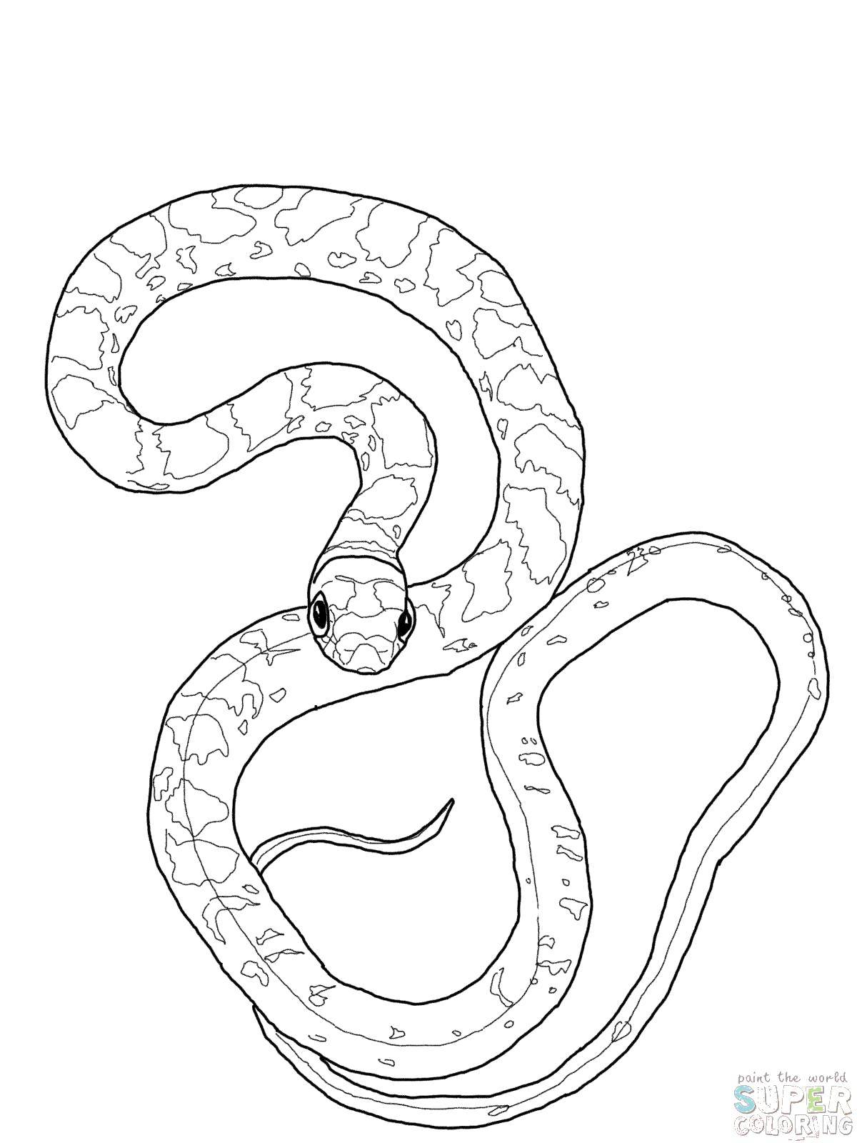 Название: Раскраска Длинная змейка. Категория: Змея. Теги: Рептилия, змея.