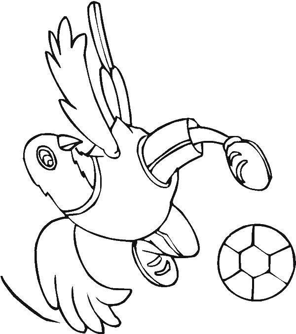 Coloring Dove footballer. Category Football. Tags:  football.