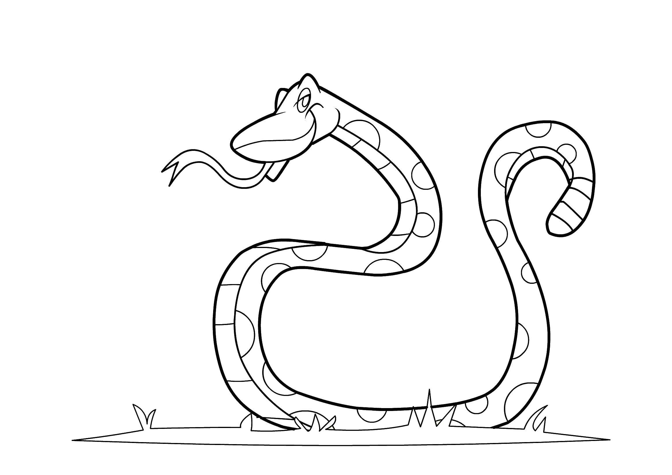 Название: Раскраска Коварная змейка. Категория: Змея. Теги: Рептилия, змея.