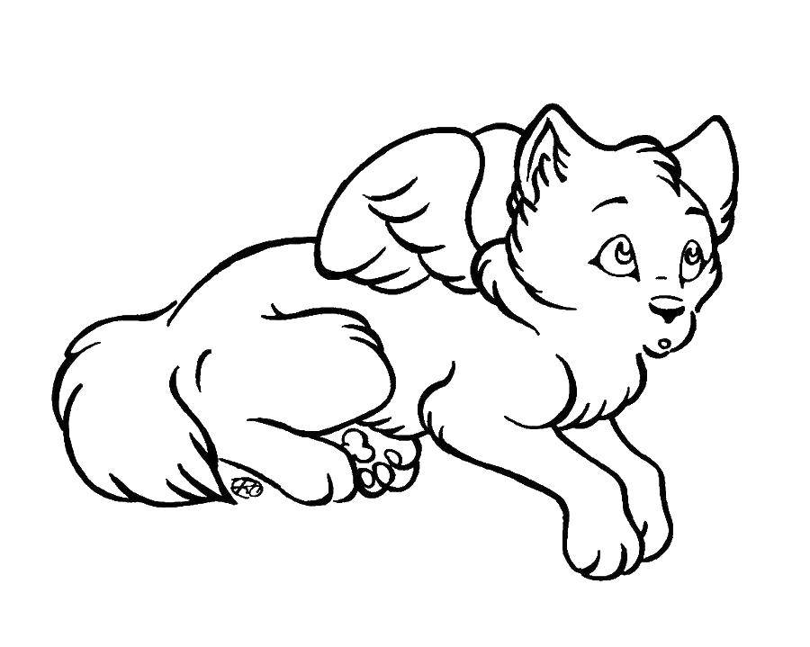 Coloring Winged dog. Category The magic of creation. Tags:  Animals, dog.
