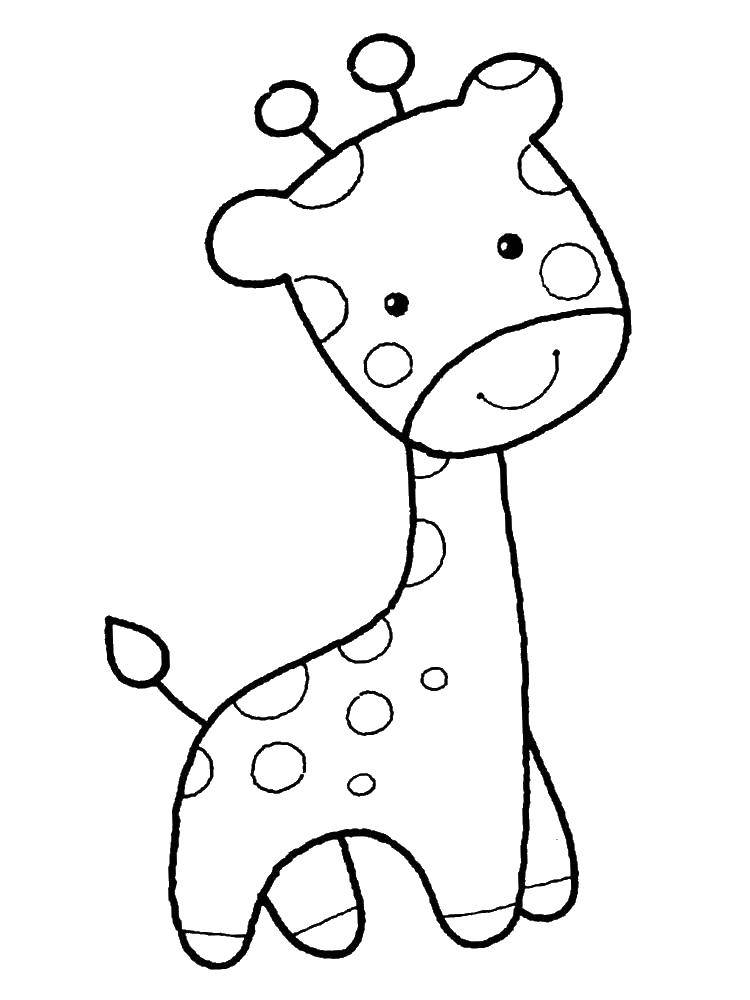 Название: Раскраска Маленький жираф. Категория: Животные. Теги: животные, жираф.
