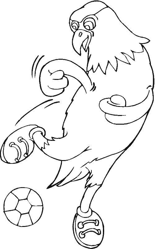 Coloring Cock footballer. Category Football. Tags:  football, sports.