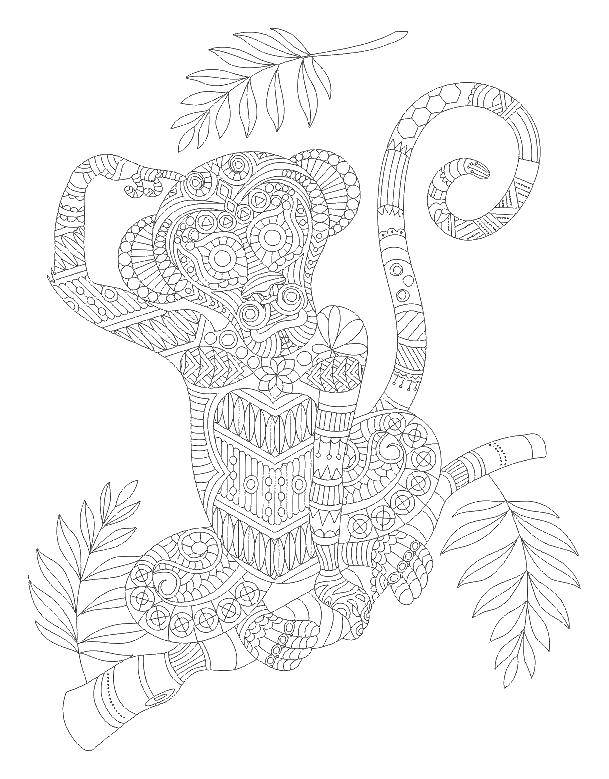 Coloring Coloring antistress. Category coloring antistress. Tags:  patterns, shapes, antistress, monkey.