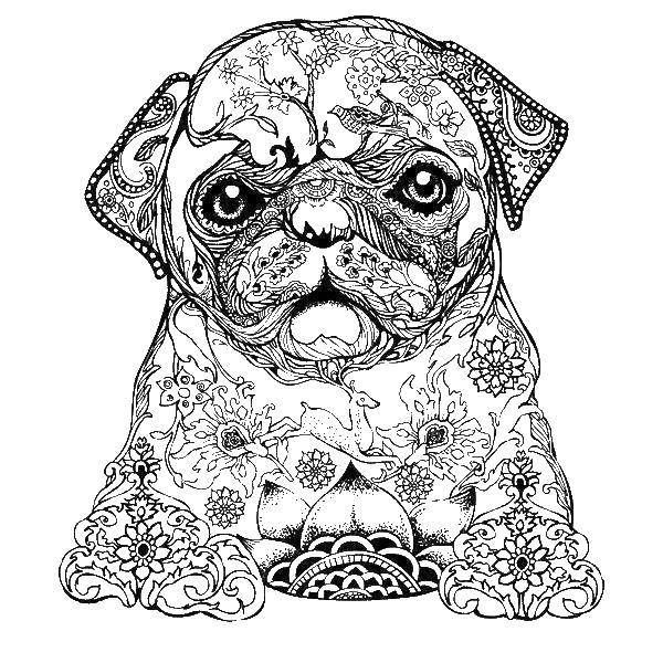 Coloring Coloring antistress. Category coloring antistress. Tags:  patterns, shapes, antistress, dog.